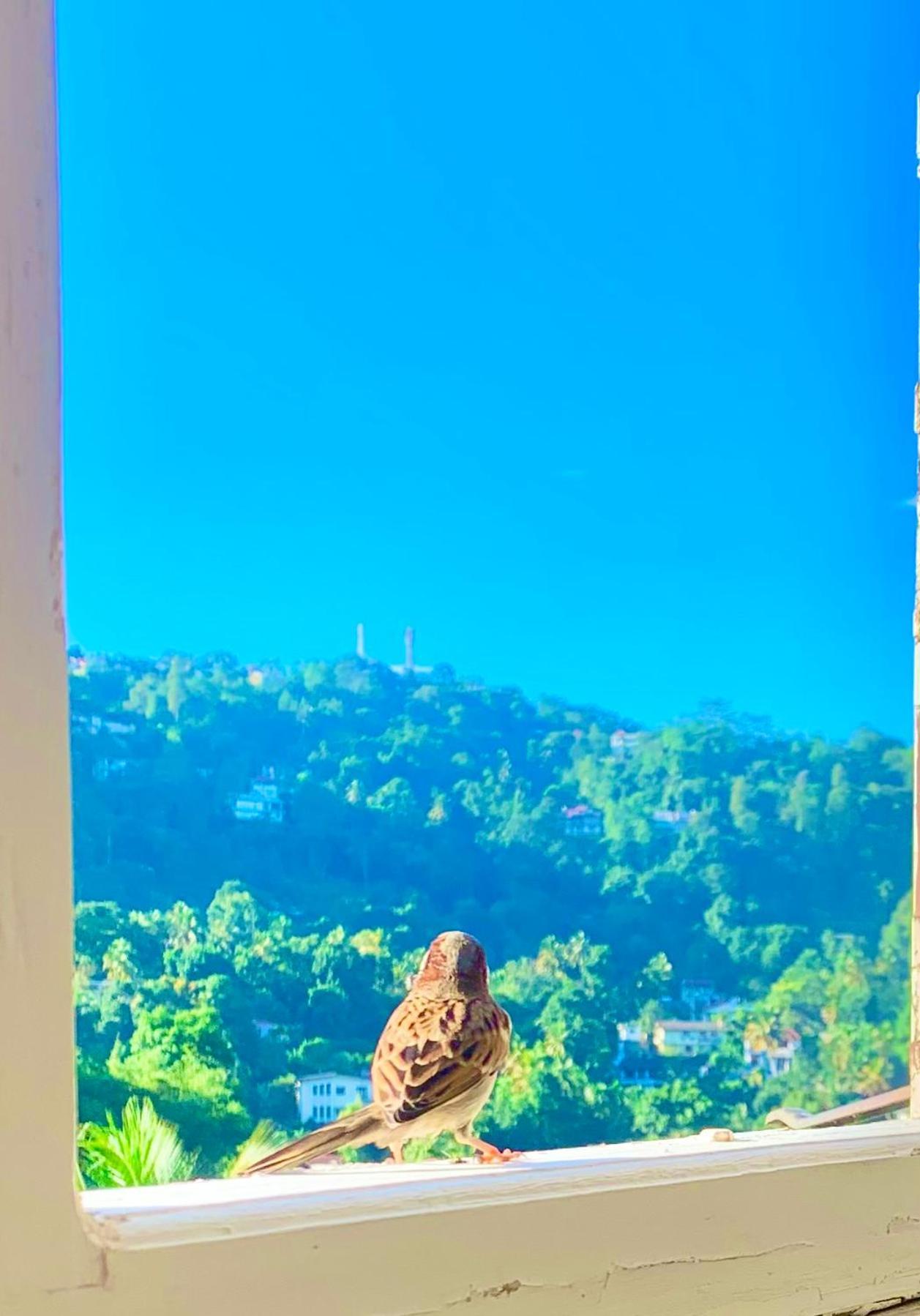 Gangula Villa Kandy Kültér fotó